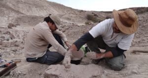 Hallaron en La Rioja fósiles de un animal prehistórico anterior a los dinosaurios