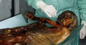Encuentran indicios de vida en Ötzi, el hombre de las nieves