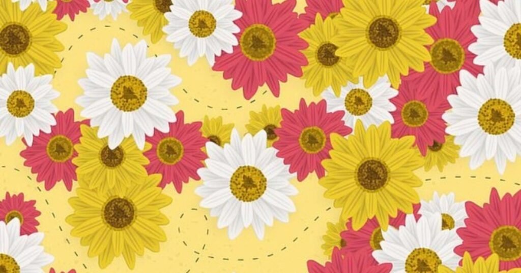Backdrop
