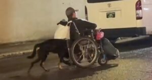 El maravilloso gesto de un perro con su dueño discapacitado