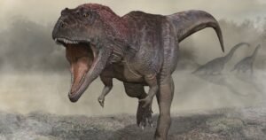 Descubren que las crías del Tyrannosaurus Rex eran más pequeñas que un gato y nacían por docenas