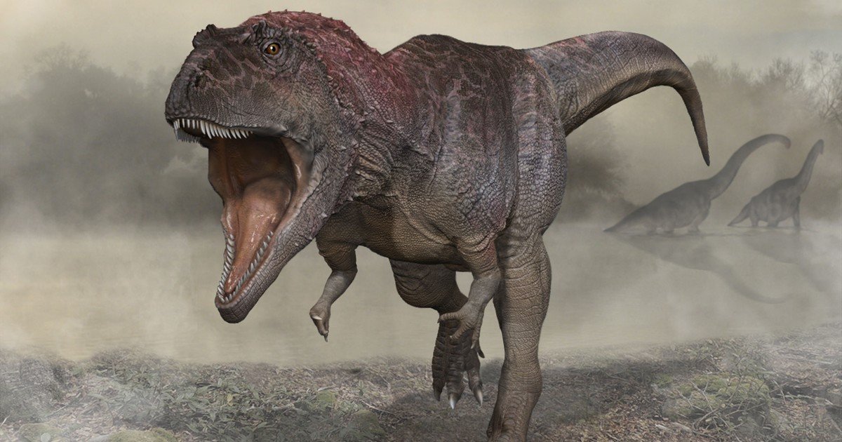Descubren que las crías del Tyrannosaurus Rex eran más pequeñas que un gato y nacían por docenas