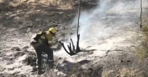 Un hombre intentó salvar a su ganado y murió en medio de los incendios en Salta