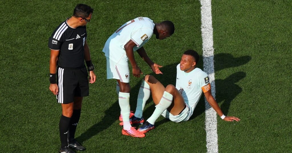 Backdrop