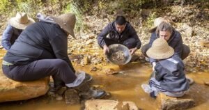 Regalan oro: la estrategia de un pueblo para atraer visitantes en las vacaciones de invierno