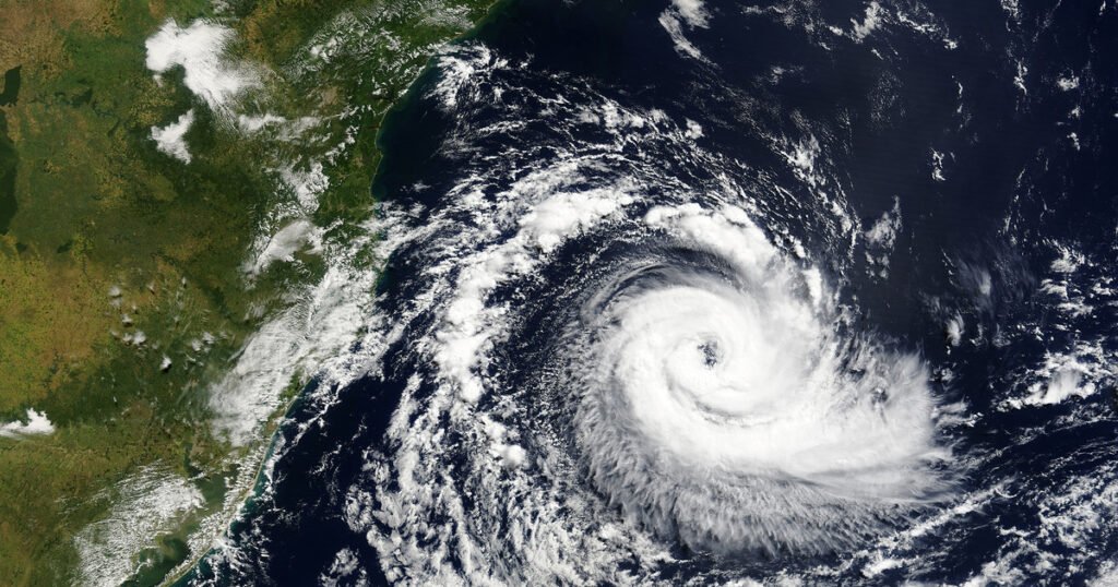 Backdrop