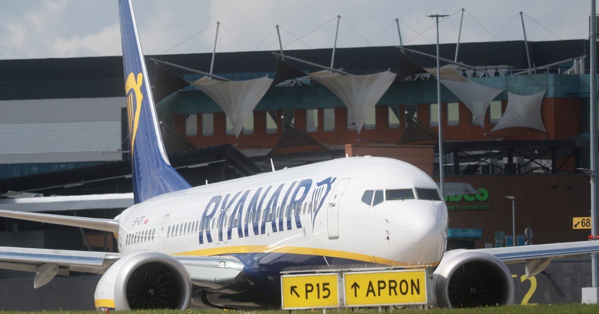 Un buitre obstinado impidió durante horas el despegue de un Ryanair en Grecia