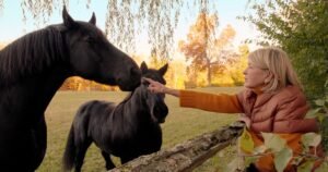 En el 2000, Martha Stewart compró una granja de 152 acres en Nueva York; 26 años después, la granja de caballos cuenta con más de 100 gallinas y 11 faisanes, tras haber añadido 13 gallinas y un faisán plateado