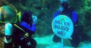 Le propuso matrimonio a su novia bajo el agua en un tanque de tiburones: «Quería hacerlo en un lugar único, diferente y memorable»