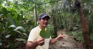 Jorge y María viven en plena Amazonía junto a monos, guacamayos y loros que siguen visitando su bosque: «Ya están perdiendo su hábitat y el bosquecito que yo protejo es su salvación»