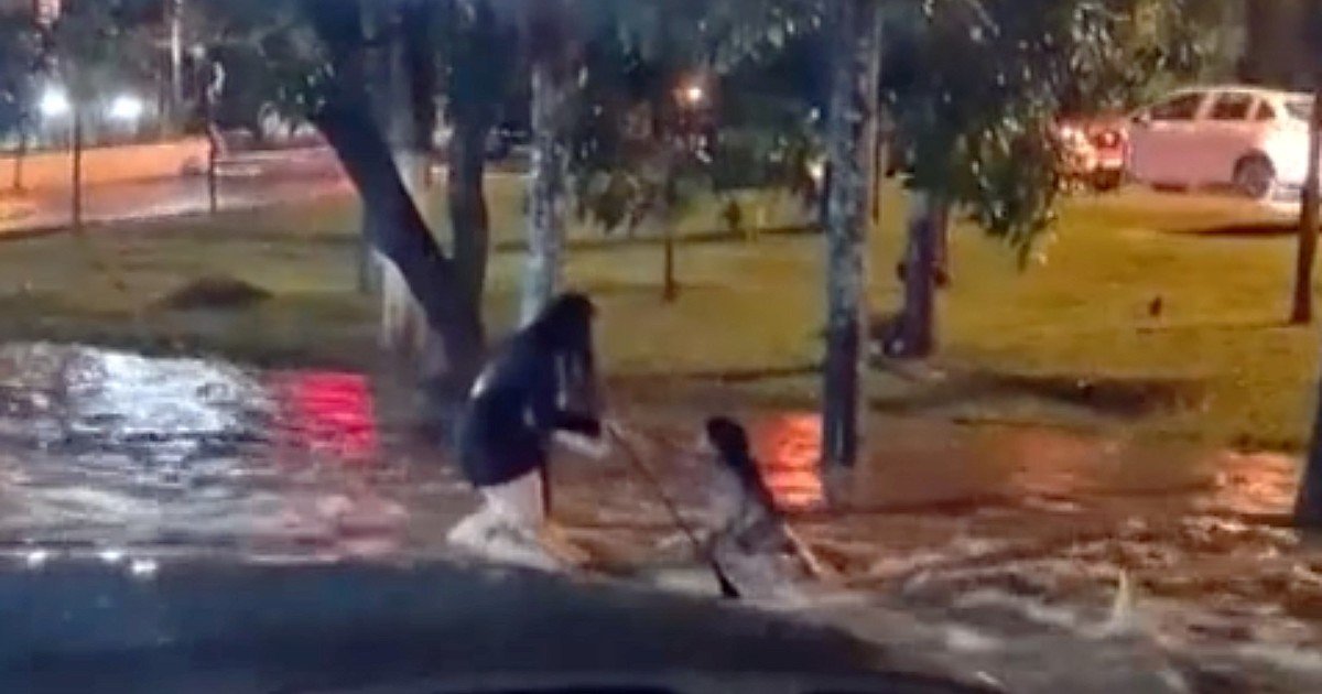 Dos amigas de 16 y 19 años murieron tras ser arrastradas por una inundación en San Pablo: trataron de salvarse mutuamente hasta que el agua las separó