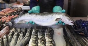 Pidieron por internet pescado para comer y lo que les llegó los aterrorizó